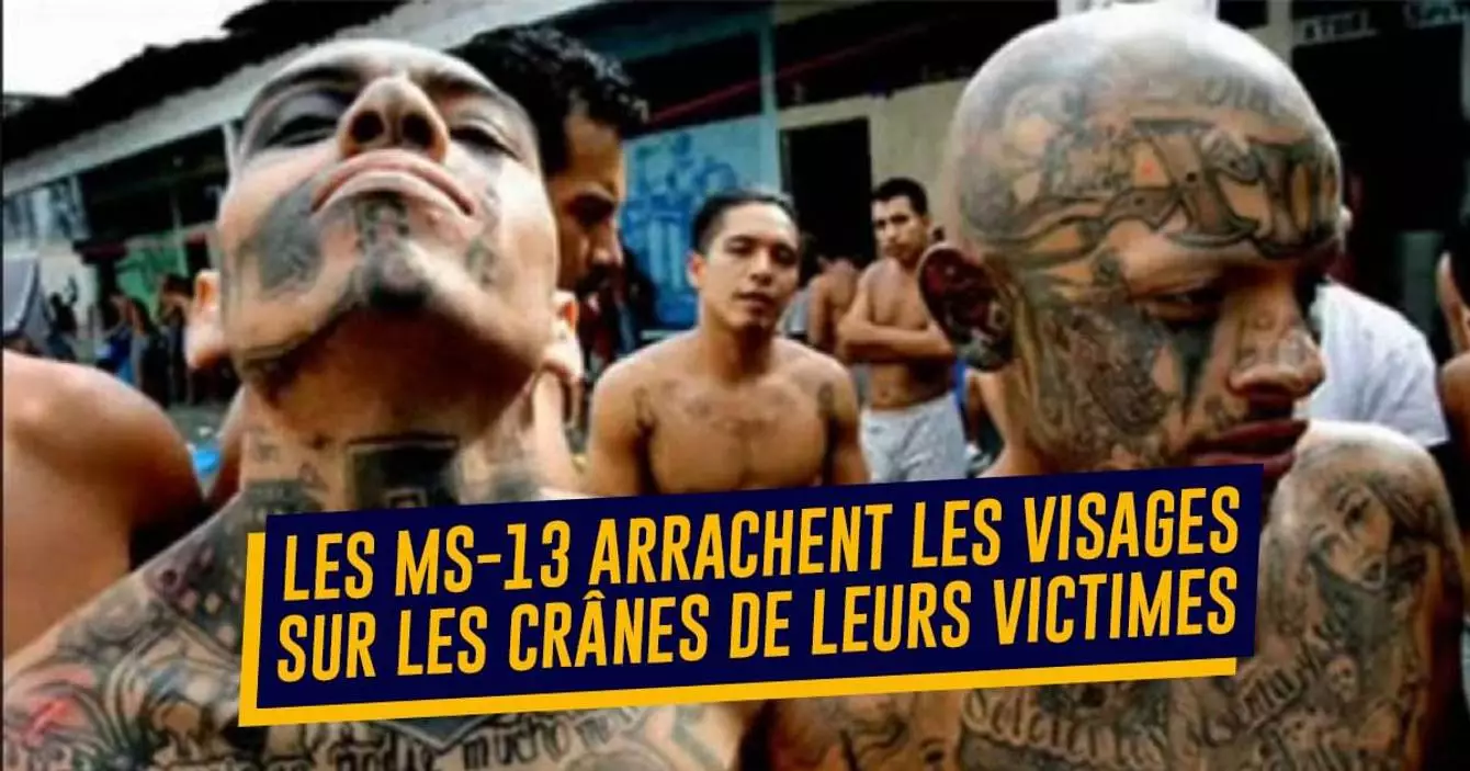 La Mafia La Plus Dangereuse Du Monde 2021